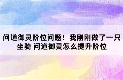 问道御灵阶位问题！我刚刚做了一只坐骑 问道御灵怎么提升阶位